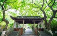 玉皇山景区5