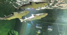 嘉兴海底世界4