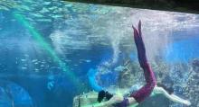 嘉兴海底世界1