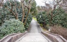 杭州西湖风景名胜区-赵公堤4