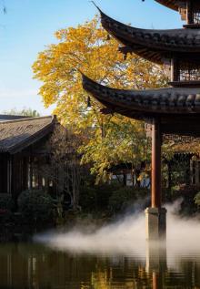 西溪天堂17