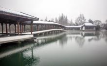 浴鹄湾16