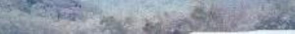 浴鹄湾10