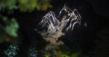 山海经奇英雄之路沉浸式奇幻秀26