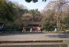 北山街历史文化街区29
