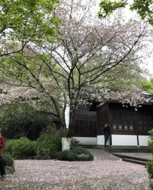 北山街历史文化街区8