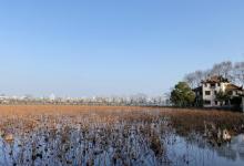 杭州西湖风景名胜区-西湖幽静公园22