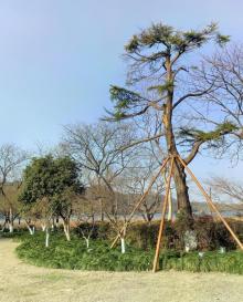 杭州西湖风景名胜区-西湖幽静公园14