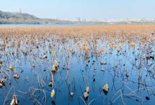 杭州西湖风景名胜区-西湖幽静公园16