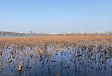 杭州西湖风景名胜区-西湖幽静公园15