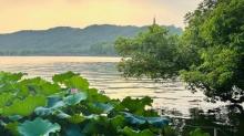 杭州西湖风景名胜区-西湖幽静公园7