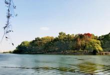 杭州西湖风景名胜区-西湖幽静公园6