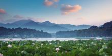杭州西湖风景名胜区-西湖幽静公园5
