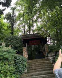 中国茶叶博物馆25