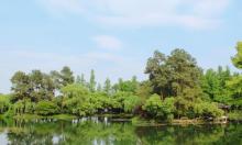 杨公堤26