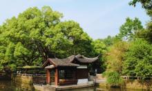 杨公堤21