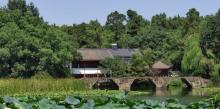 杨公堤13