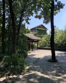 杨公堤12