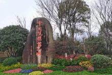 超山风景区3