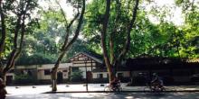 南山路2