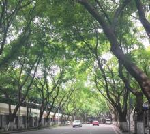 南山路17