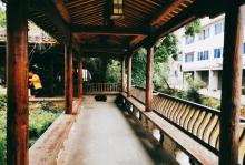 路桥十里长街3