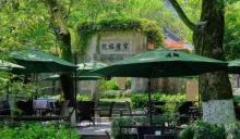 老龙井十八棵御茶园4