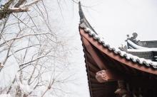永福禅寺4