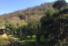 永福禅寺20