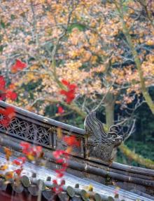 永福禅寺26