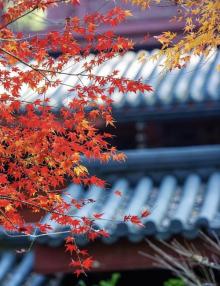 永福禅寺25