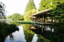 茅家埠30