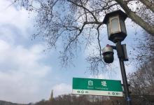 白堤24