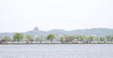 白堤15