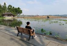 白堤27