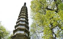 西泠印社10