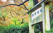 西泠印社1