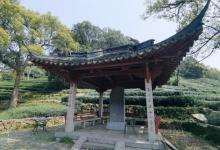梅家坞25