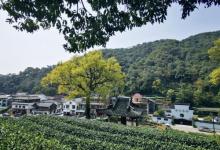 梅家坞23