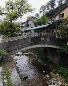 梅家坞12