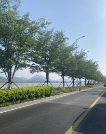 钱塘江大桥7