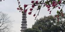 钱塘江大桥10
