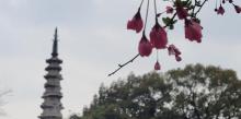 钱塘江大桥8