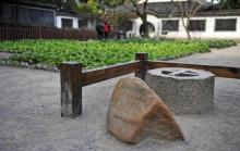 百草园6