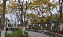 观潮胜地公园25