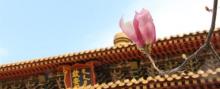 明清宫苑景区6