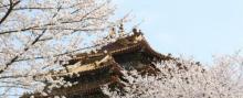 明清宫苑景区16