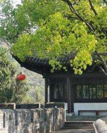 台州府城文化旅游区19