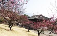 台州府城文化旅游区9