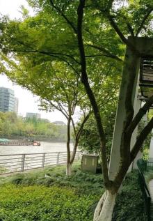 京杭大运河杭州景区30